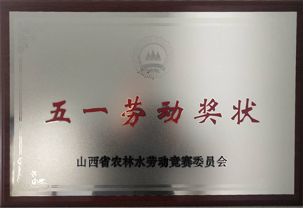 五一勞動獎(jiǎng)狀